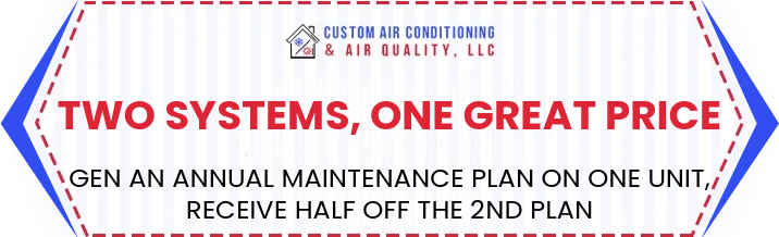 two systems maintenance promotion